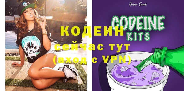прущие грибы Бердск