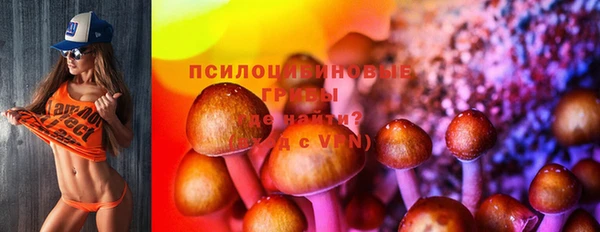 мяу мяу кристалл Надым