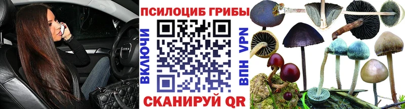 наркошоп Яровое Псилоцибиновые грибы GOLDEN TEACHER